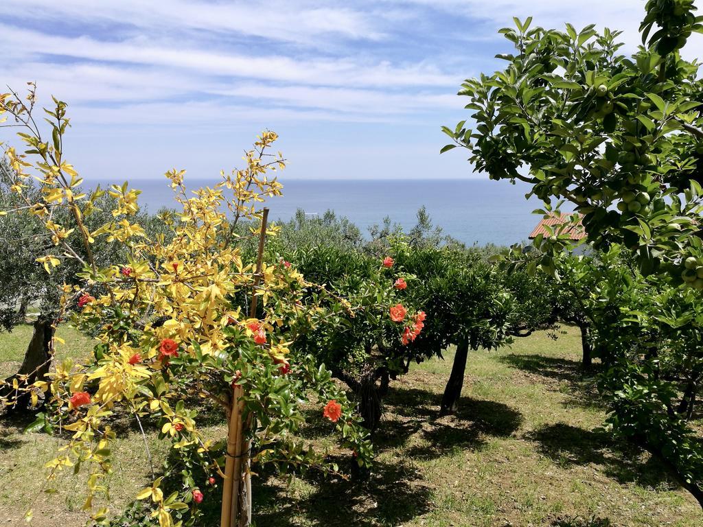 Villa Rosaria Vasto Bagian luar foto