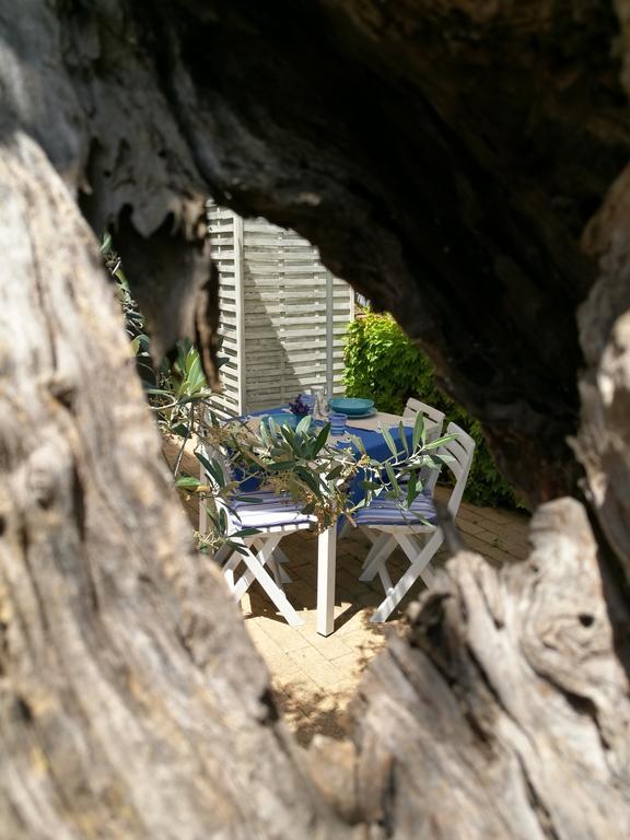 Villa Rosaria Vasto Bagian luar foto