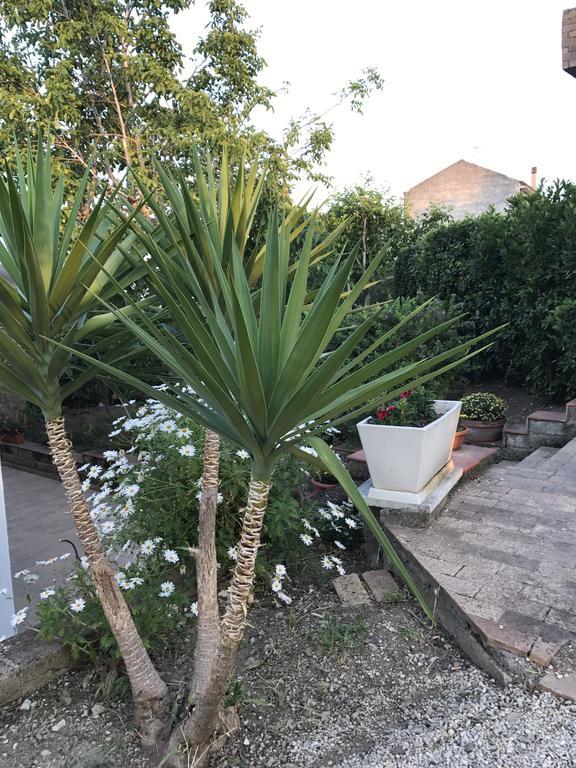 Villa Rosaria Vasto Bagian luar foto